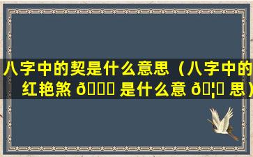 八字中的契是什么意思（八字中的红艳煞 🍁 是什么意 🦅 思）